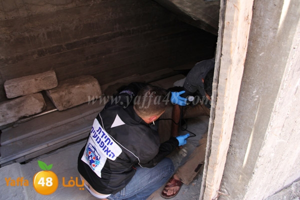 warsha hit from above 1027 (6).JPG